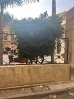 زافيرو مسرح سيد درويش للعائلات فقط families only - B&B