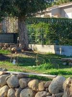 Casa di l Alivetu - Chambres d’hôtes Ventiseri