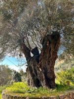 Spiros Holidays House - Ferienwohnung