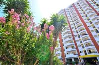 Oasis Apartment, Praia da Rocha - B&B