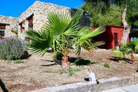 Idyllisches Steinhaus in traumhafter Lage - Casa el Abejaruco - B&B Vejer de la Frontera
