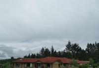 Real Relax Ninety-Nine - B&B