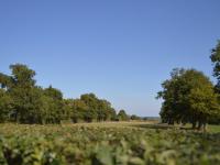 Ancienne ferme rénovée au cœur de la Vallée Noire avec jardin clos, vélos et équipements complets - Chambres d'hôtes Tranzault
