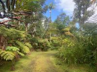 Lemon Tree Lanai - Chambres d’hôtes Keaau