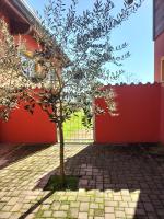Apartment - Erdgeschoss