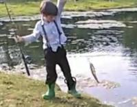 Amish Country Stay w/ Buggy Ride - B&B Gap