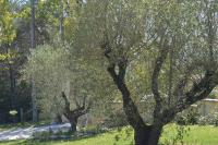 Caufour - Ferienwohnung