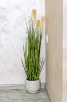 Navial 1 - B&B Gabrovo