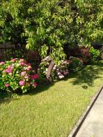 OLI apartman - B&B