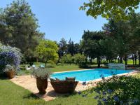 Mas Antonine, Grenouille - B&B Arles