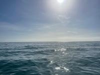 Lagos Fly & Sea View Apartment - B&B Lagos