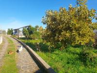 Asinara - B&B Sassari