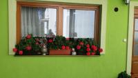 Iva ubytovanie - B&B
