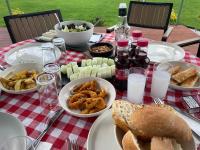 The house in the nature - B&B Ürgüp