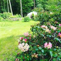 B&B East Dereham - Gingerbread Cottage Yurts - Bed and Breakfast East Dereham