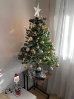 Apartamento de 3 dormitorios