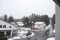 Central base for biking and skiing - B&B Lenzerheide