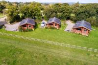 Bluebells - B&B Highampton