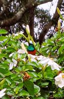 VB Escape - Chambres d’hôtes Knysna