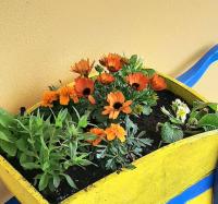 Hilltop Cottage - B&B Kilkee