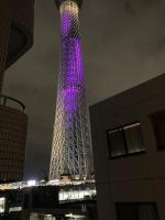 Sky Tree INN Ⅱ（晴樹宿Ⅱ）