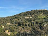 Florence Rock Apartment - B&B Florence