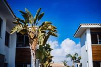 Luxury Beachfront Villa With Private Pool, Private Beach, Yoga & Sea Adventures - B&B Larnaca