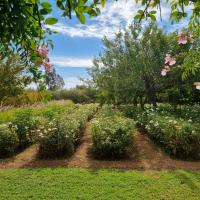 B&B Marrakesch - Maison Noun - Bed and Breakfast Marrakesch