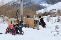 Cabanots - Ecolodges en Vallée d'Ossau à 900m d'altitude - B&B Castet
