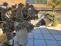 At 37 Masters Way - B&B Brandwacht