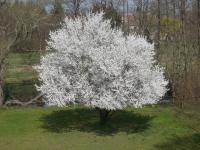 La Cuvellerie - B&B Narcy