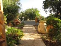 Aviv - Bakfar in Amirim - B&B