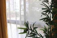 Cocon moderne - A deux pas de Bercy - B&B París