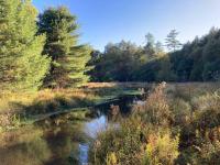 Little Birds Treehouse - B&B Sparrow Bush