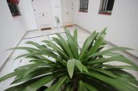 Apartamento Corazón de Triana - B&B
