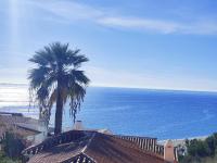 AP397 - Chimenea Sea View - B&B Nerja