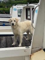 Leitrim Quay - Riverside Cottage 7 - B&B Leitrim