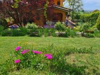 B&B Fonte Nuova - Il parco holiday 2 L.T. - Bed and Breakfast Fonte Nuova
