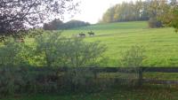 Natur pur mit Fernblick für Wanderfreunde - B&B