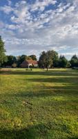 Zimmer mit Kingsize-Bett und Gartenblick.