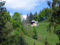 Fewo Kaspershäusle: Alleinlage mitten im Wald - B&B Glashütte