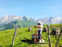 Vue montagne Béost-Laruns - B&B Béost