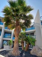 Uluwatu El Cotillo by Sea You There Fuerteventura - B&B