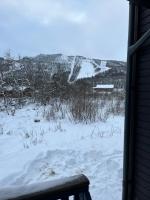 Rett ved Raudalen Alpinanlegg - B&B