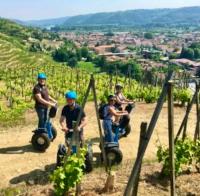 Bungalow charmant à Condrieu avec piscine partagée conviviale - B&B Condrieu