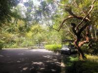 Bangnu Greenery Resort