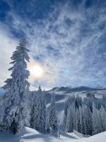 Jahorina: A Charming Apartment Retreat - Ferienwohnung Jahorina