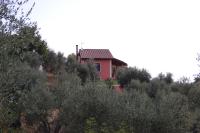 Il Pino - B&B Vetulonia