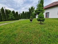 Pensiunea Bradu - B&B