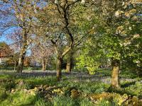 The Cabin - B&B Lisburn